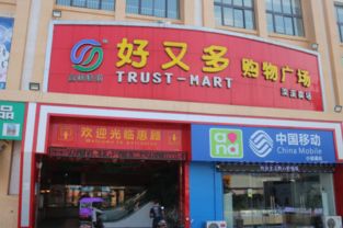 乐清市淡溪通惠超市 预包装与散装食品的品质之选